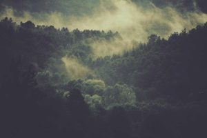 Portfolio Parallax for Elementor